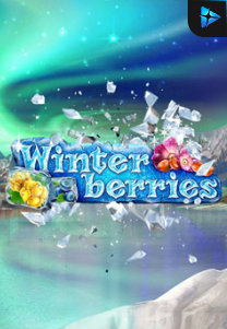 Winterberries 2